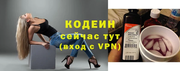 Альфа ПВП Инта